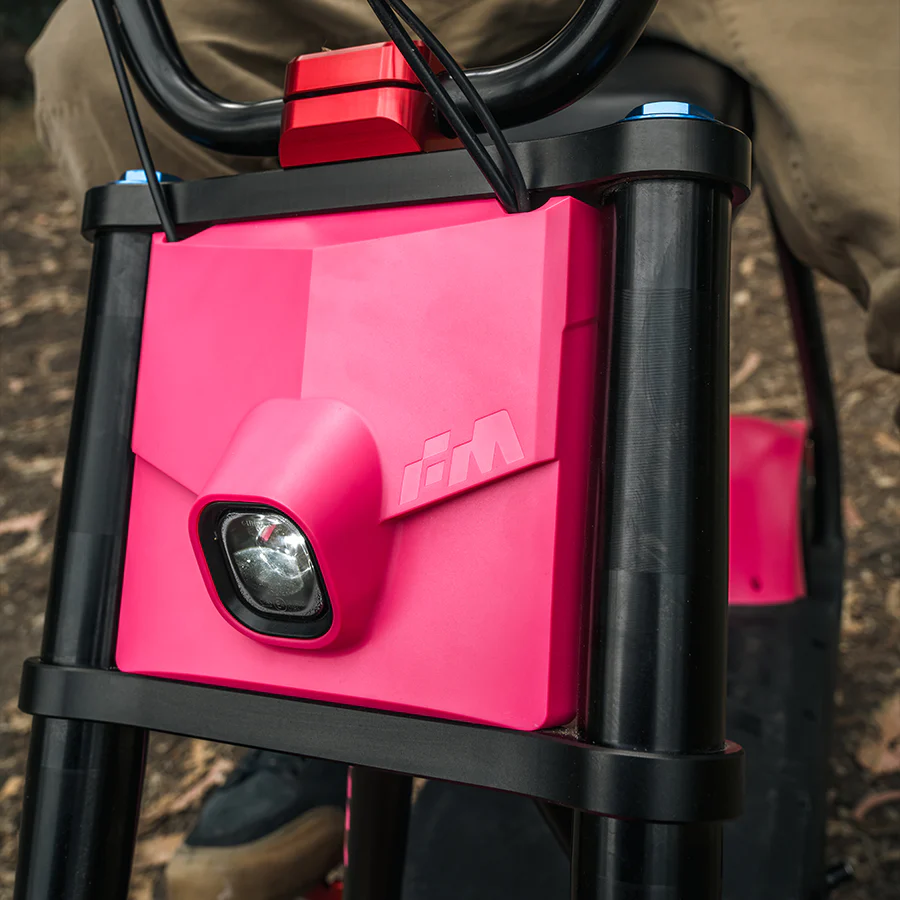 Antic Faceplate - Image 12